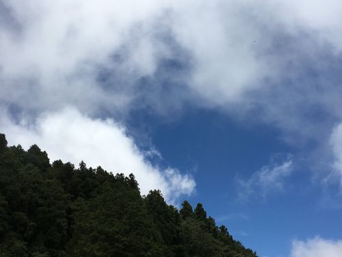 Alishanas, Taivanas, Mėlynas Dangus
