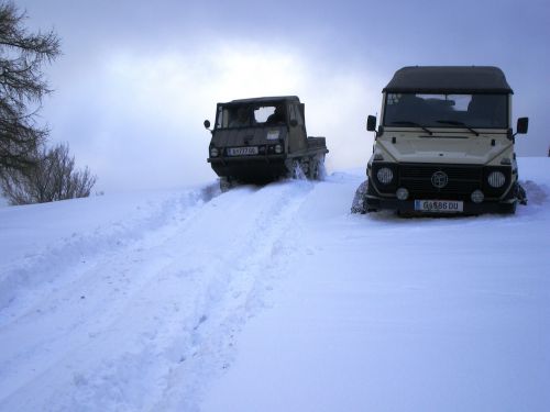 Visureigė, Offroad, Puch, Automatinis, Haflinger, Sniegas, Visais Ratais Varoma, Automobiliai