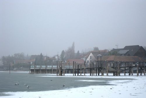 Allensbach, Sušaldyta, Ežero Konstanta, Žiema, Internetas