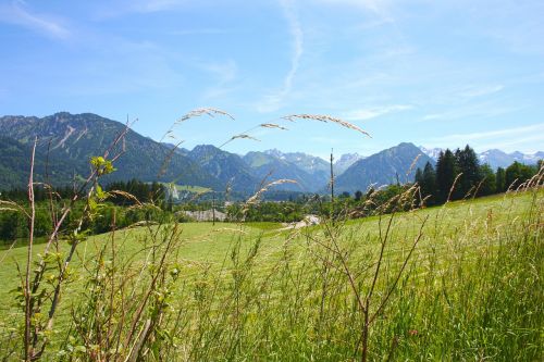 Allgäu, Bavarija, Oberstdorf, Panorama, Kalnai, Pranešta, Vasara, Vaizdas