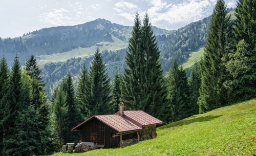 Allgäu, Oberstdorf, Kalnai, Miškas, Medžiai, Bavarija, Vasara, Namelis