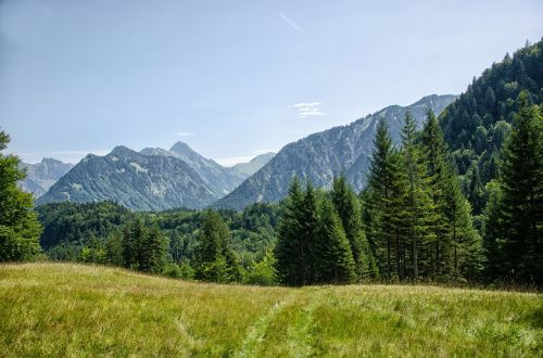 Allgäu, Oberstdorf, Kalnai, Miškas, Medžiai, Bavarija, Vasara, Ganykla, Pranešta
