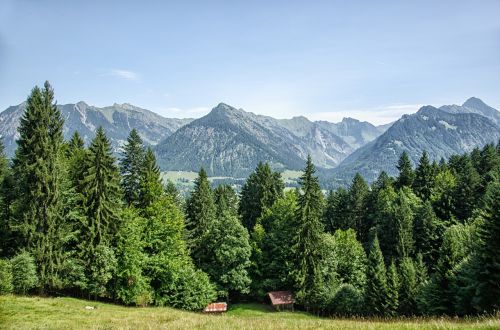 Allgäu, Oberstdorf, Kalnai, Miškas, Medžiai, Bavarija, Vasara, Eglės
