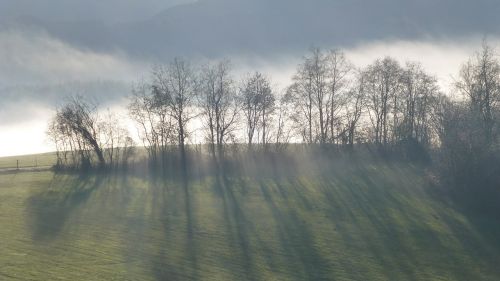 Allgäu, Ežeras Forggensee, Ruduo, Rūkas, Medžiai, Šešėlis