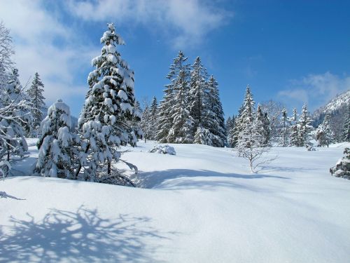 Allgäu, Žiema, Kraštovaizdis, Oberjoch, Sniegas, Gamta, Žiemą, Žiemos Miškas, Snieguotas
