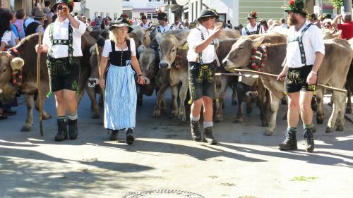 Allgäu, Wertach, Viehscheid, Karvės, Kostiumas, Tradicija