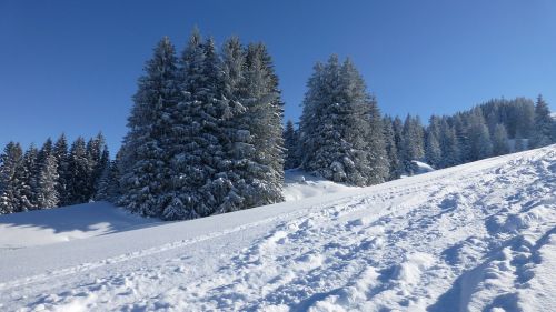 Allgäu, Apželdintas, Žiema, Sniegas, Saulė, Šaltas, Šaltis