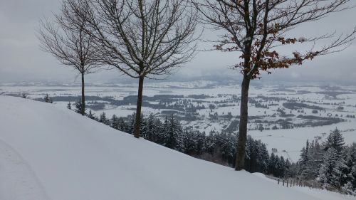 Allgäu, Žiema, Buchenbergas, Ežeras Forggensee, Sniegas, Panorama