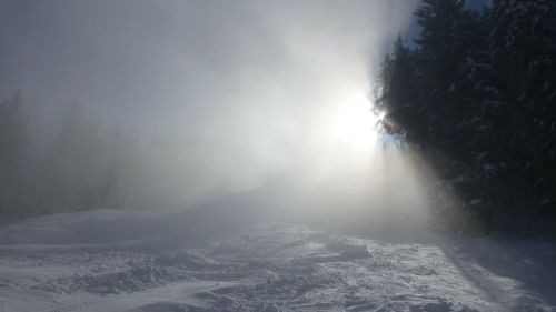 Allgäu, Alpių Akys, Rūkas, Saulė, Žiema, Sniegas, Medžiai