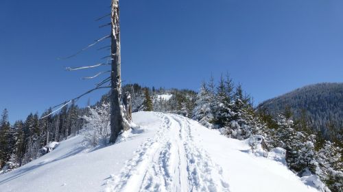 Allgäu, Žiema, Sniegas, Saulė, Medžiai, Panorama, Alpių Akys