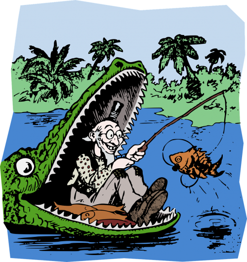 Aligatorius, Animacinis Filmas, Krokodilas, Pavojus, Žvejyba, Aligatorius, Humoras, Patinas, Vyras, Gamta, Upė, Nemokama Vektorinė Grafika