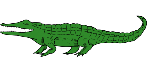 Aligatorius, Gyvūnas, Krokodilas, Ropliai, Nemokama Vektorinė Grafika