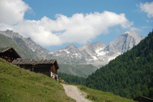 Alm, Alpių, Namelis, Kraštovaizdis, Gamta, Pieva