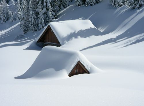 Alm, Friuli, Sniegas, Sniegas, Lussari