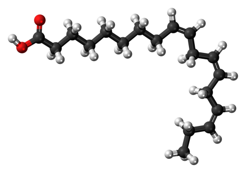 Alfa Linoleno Rūgštis, Riebalų Rūgštis, Neprisotintas, Molekulė, Struktūra, Modelis, Chemija, Mokslas, Junginys