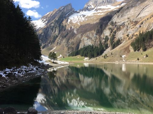 Alpių, Ežeras, Pavasaris, Šveicarija, Idiliškas