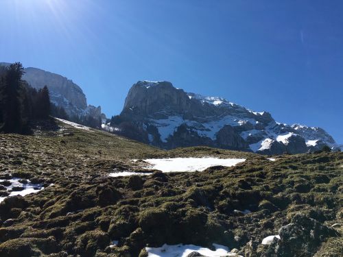 Alpių, Šveicarija, Kalnai, Alp, Gamta, Kraštovaizdis, Swiss Alps
