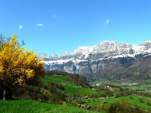 Alpių, Kalnai, Ledynas, Austria, Pieva, Pavasaris, Gamta