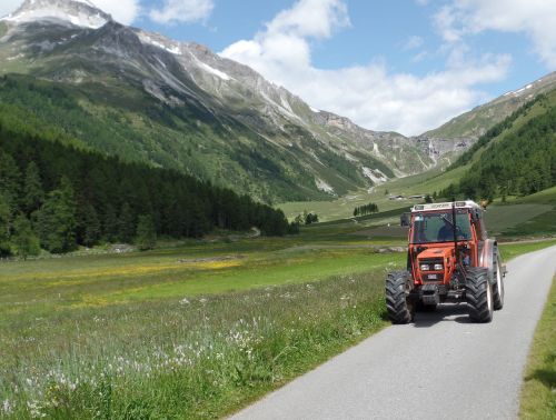 Alpių, Kalnai, Traktorius, Bergwelt Südtirol, South Tyrol, Italy, Alm