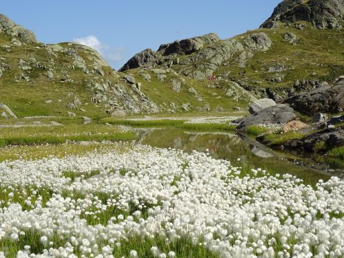 Alpių, Stubai, Kalnai, Kraštovaizdis