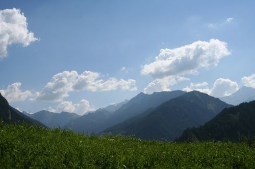 Alpių, Kalnų Pieva, Vasara, Kalnai