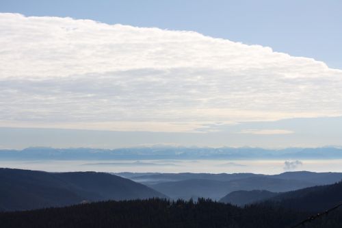 Alpių, Juodasis Miškas, Panorama, Feldbergas, Šveicarija, Plaukų Džiovintuvas, Tolimas Vaizdas, Vaizdas, Perspektyva, Berni Oberland