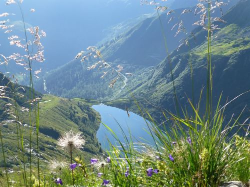 Alpių Ežeras, Ežeras, Vanduo, Kalnai, Žygis, Kraštovaizdis, Kalnų Pievos
