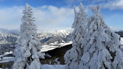 Alpės, Kalnai, Austria, Kraštovaizdis, Sniegas, Medžiai, Kalnas, Schladming