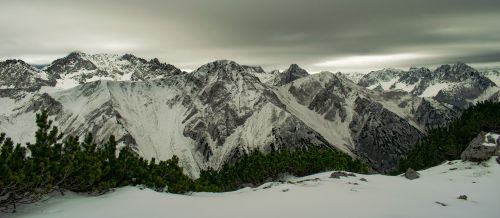 Alpės, Ruduo, Lapkritis, Kalnai, Dwarf Pušis, Austria