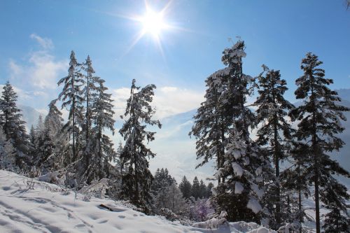 Alpės, Žiemos Sportas, Sniegas, Alpbach, Austria