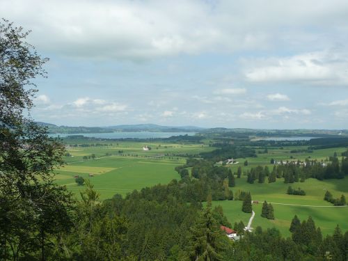 Alpsee, Gulbių Ežeras, Vaizdas, Allgäu, Füssen