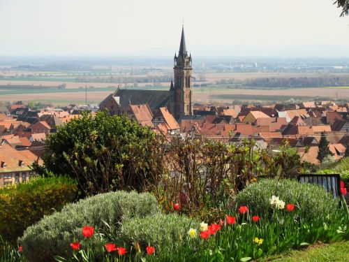 Alsace, Kaimas, France, Paveldas, Seni Namai, Kaimo Vietovė, Senas Kaimas, Bažnyčia, Religija, Panoraminis, Gėlės, Smeigės