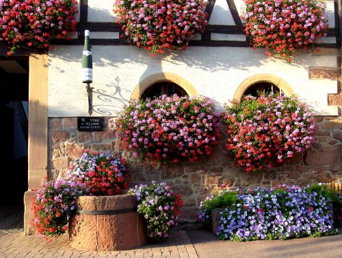 Alsace, Vynas, Butelis, Gėlės, Geraniums, Fasadas Fleurie