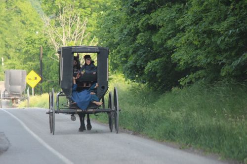 Amišai, Joe Keim, Amišo Šalis, Amish Buggy
