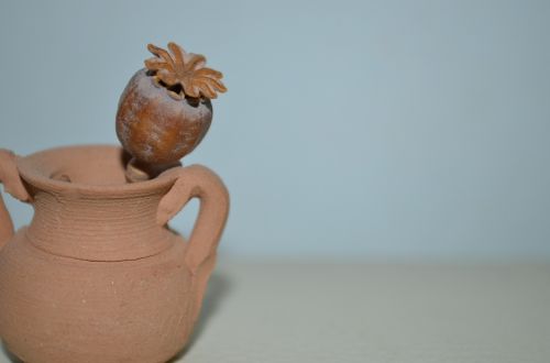 Amphora, Aguona, Natiurmortas, Džiovintos Gėlės