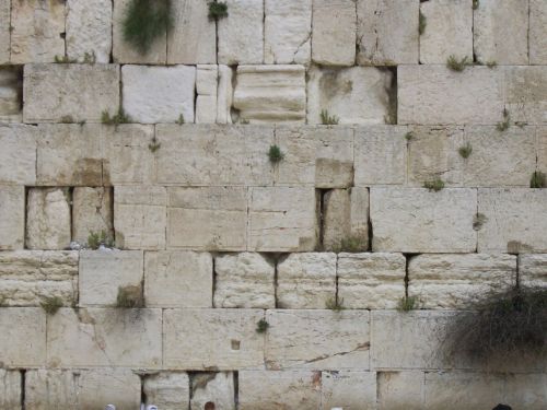 Senovės,  Siena,  Jeruzalė,  Vakarų,  Senovės Sienos Uždaras Vaizdas