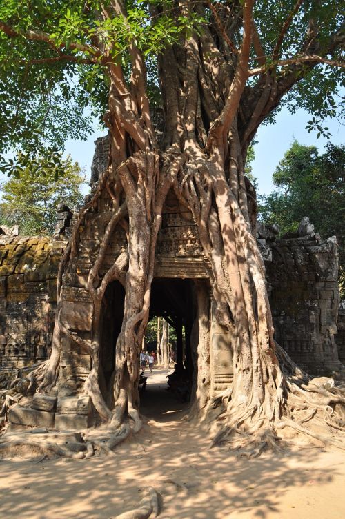 Angkor, Hinduizmas, Veidai, Šventyklos Kompleksas, Istorija, Skulptūra, Istoriškai, Šventykla, Khmer, Asija, Kambodža, Unesco Pasaulio Paveldas