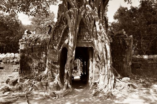 Angkor Wat, Hinduizmas, Veidai, Šventyklos Kompleksas, Istorija, Skulptūra, Istoriškai, Šventykla, Khmer, Asija, Kambodža, Unesco Pasaulio Paveldas