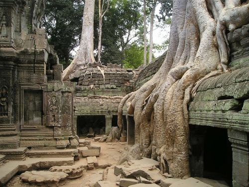 Angkor, Wat, Kambodža, Užaugo, Džiunglės, Šventykla, Medis, Šaknis, Į Pietryčius, Asija, Taip