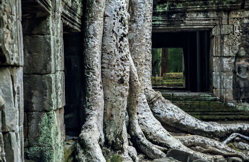 Angkor Wat, Kampo Asia, Pasaulio Paveldo Vieta