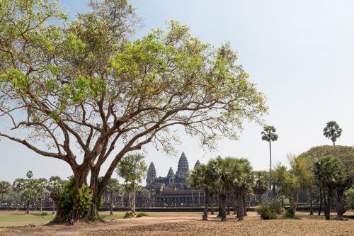 Angkor Wat,  Šventykla,  Siem Grižti,  Kambodža,  Senovės,  Religija,  Sugadinti,  Hinduizmas,  Be Honoraro Mokesčio