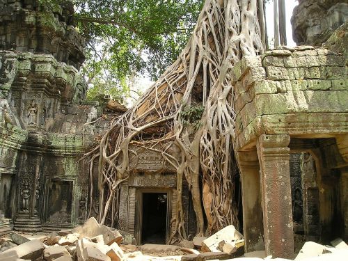 Angkor Wat, Šaknis, Kambodža, Wat, Užaugo, Džiunglės, Šventykla, Medis, Į Pietryčius, Asija, Taip, Senas, Mistinis, Kapų Plėšikas, Gumos Medis