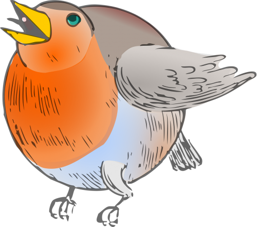 Gyvūnas, Paukštis Robin, Animacinis Filmas, Nemokama Vektorinė Grafika
