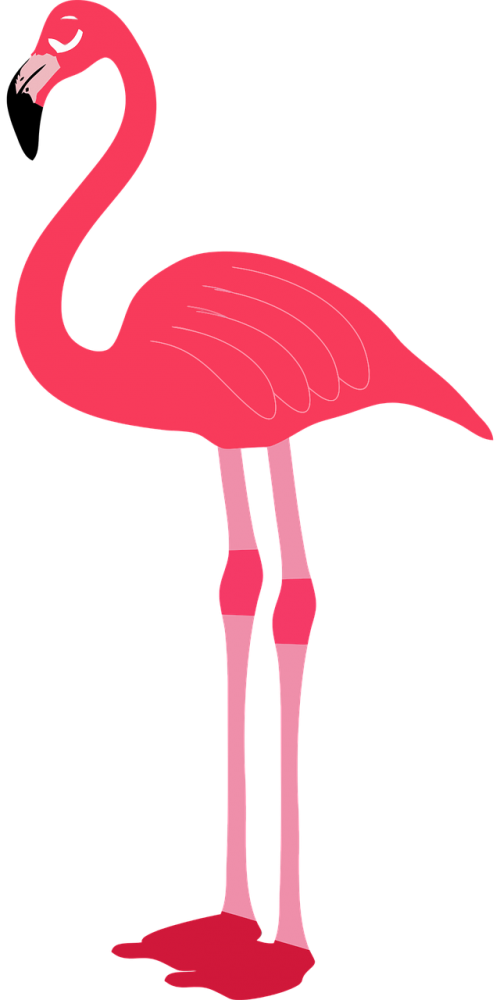Gyvūnas, Paukštis, Flamingo, Rožinis, Nemokama Vektorinė Grafika