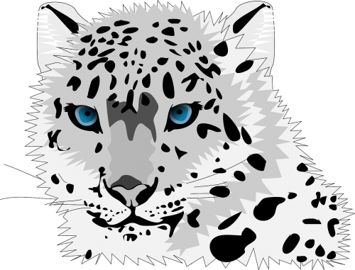 Gyvūnas, Katė, Leopardas, Sniego Leopardas, Laukinis Katinas, Nemokama Vektorinė Grafika