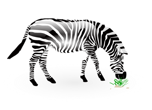 Gyvūnas, Zebra, Laukiniai, Laukinė Gamta, Gamta, Zoologijos Sodas, Afrika, Safari, Džiunglės, Blizga Zebra, Želė, Lėlės Zebra, Grafika