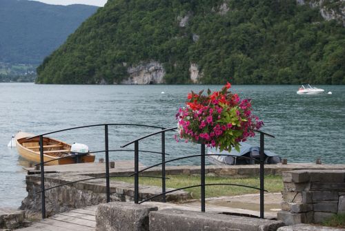 Annecy Ežeras, Valtis, Gėlė