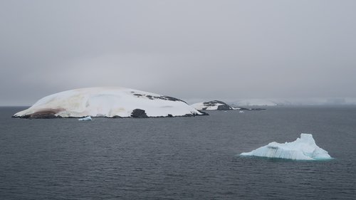 Antarktida,  Ledas,  Sniegas,  Jūra,  Sušaldyti,  Iceberg,  Vandens,  Pietų,  Plaukiojantis