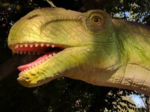 Apatosaurus,  Dinozauras,  Dinozaurai,  Jurų & Nbsp,  Laikotarpis,  Jurų & Nbsp,  Parkas,  Apatosaurus Dinozauras
