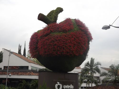 Obuolys, Medellin, Kolumbija